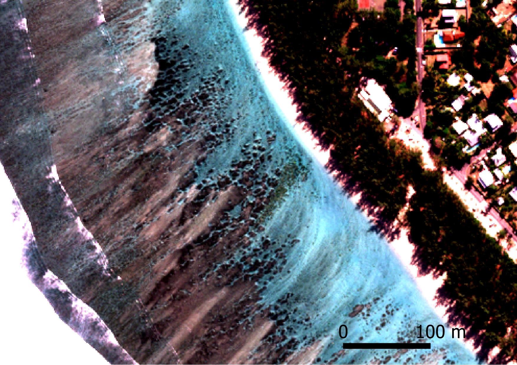 Pléiades Neo satellite image - coral detection 