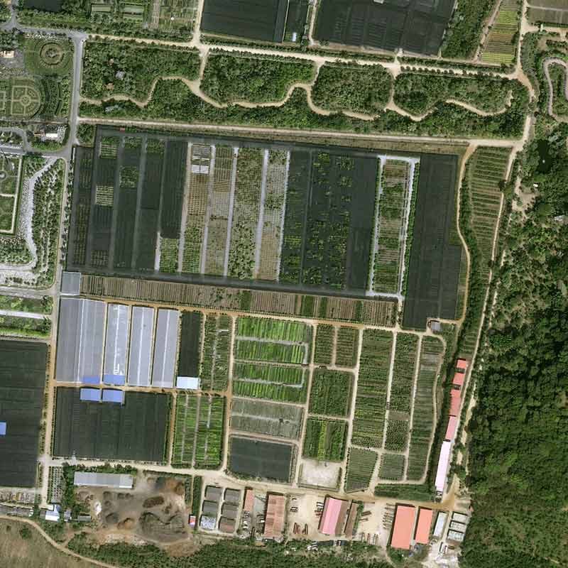 Pléiades Neo image satellite - Nong Nooch Tropical Botanical in Pattaya, Thailand - 30cm resolution