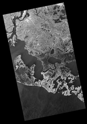 Sample satellite Imagery TerraSAR-X StripMap InSAR 2 - South Mississippi, USA