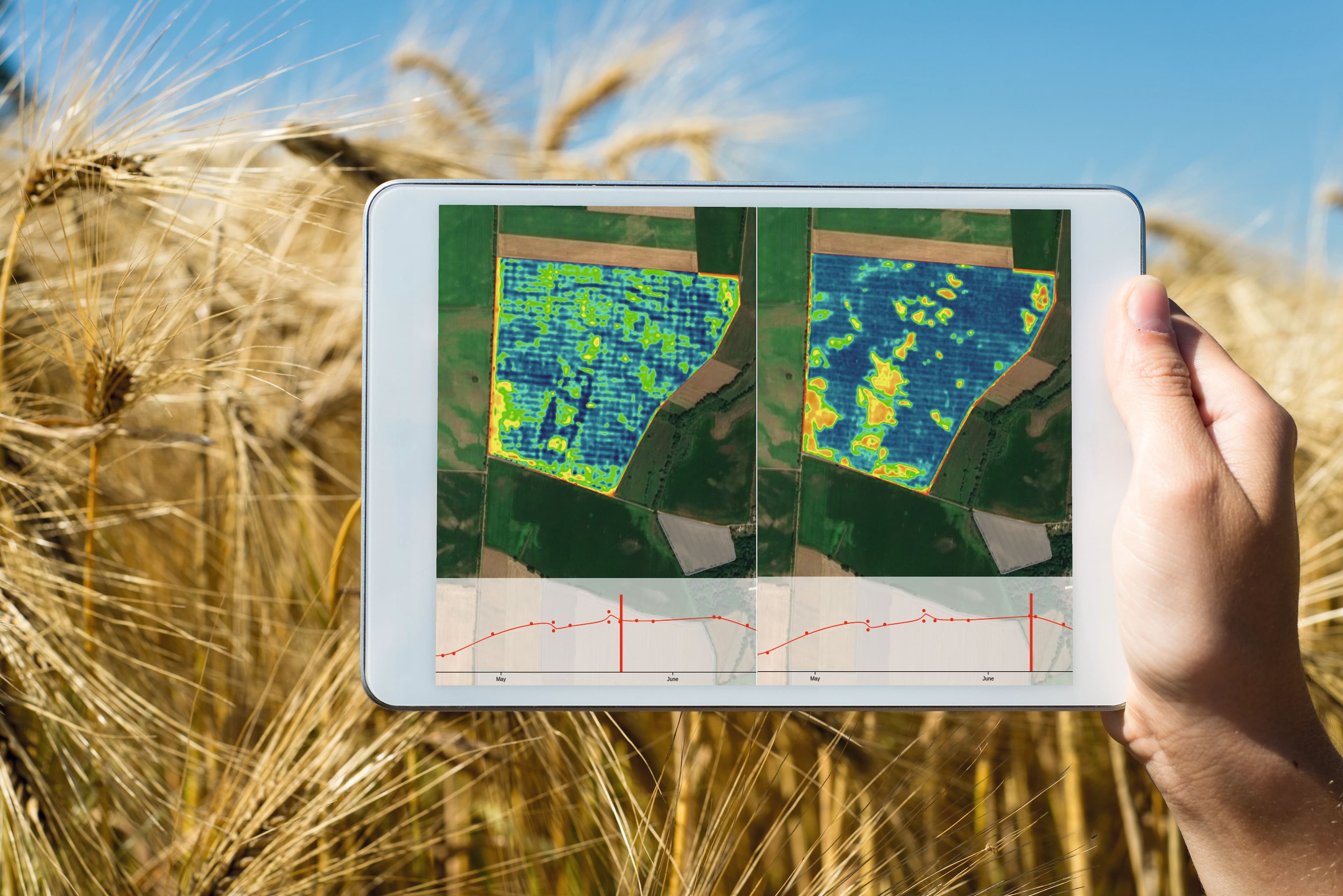Agriculture Satellite-Based applications image Institutional application
