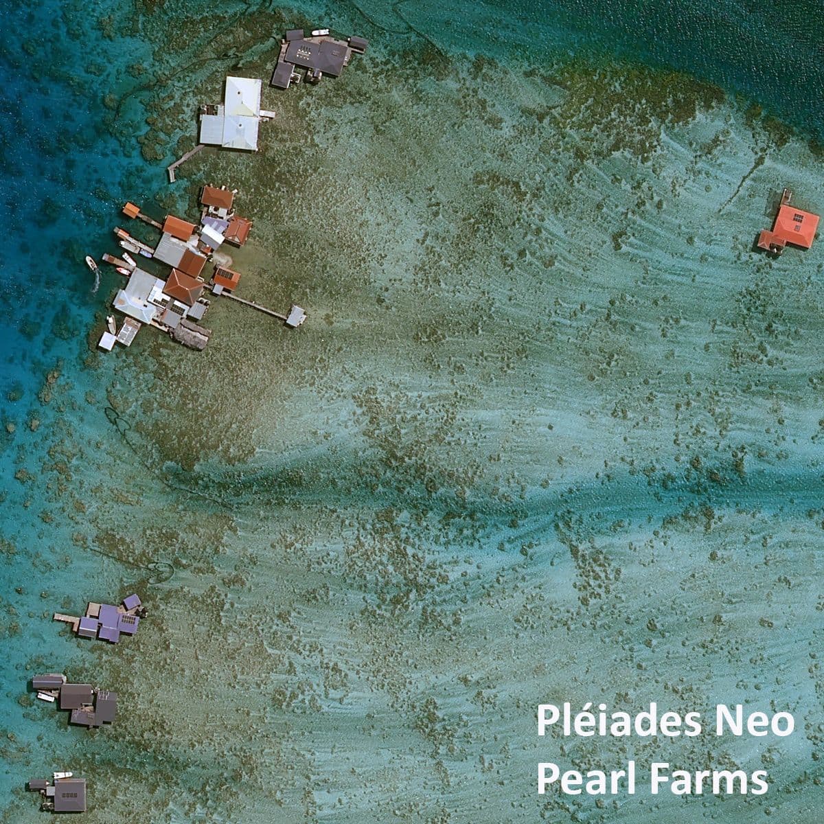 Arutua_Pleiades_Neo_pearl farms.jpg