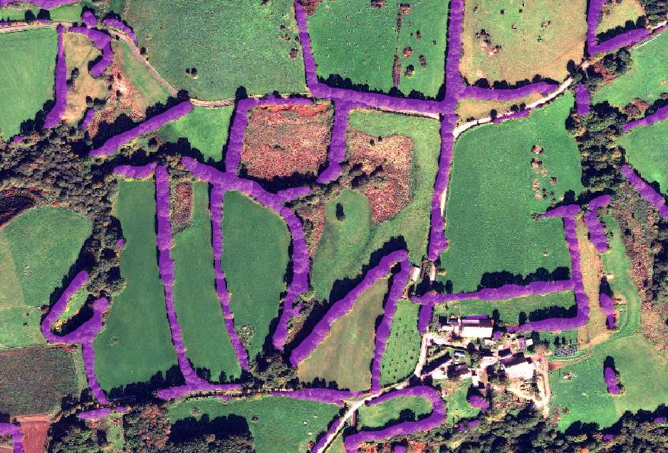 Hedge detection with Pléiades Neo - 4bands - 30cm resolution 