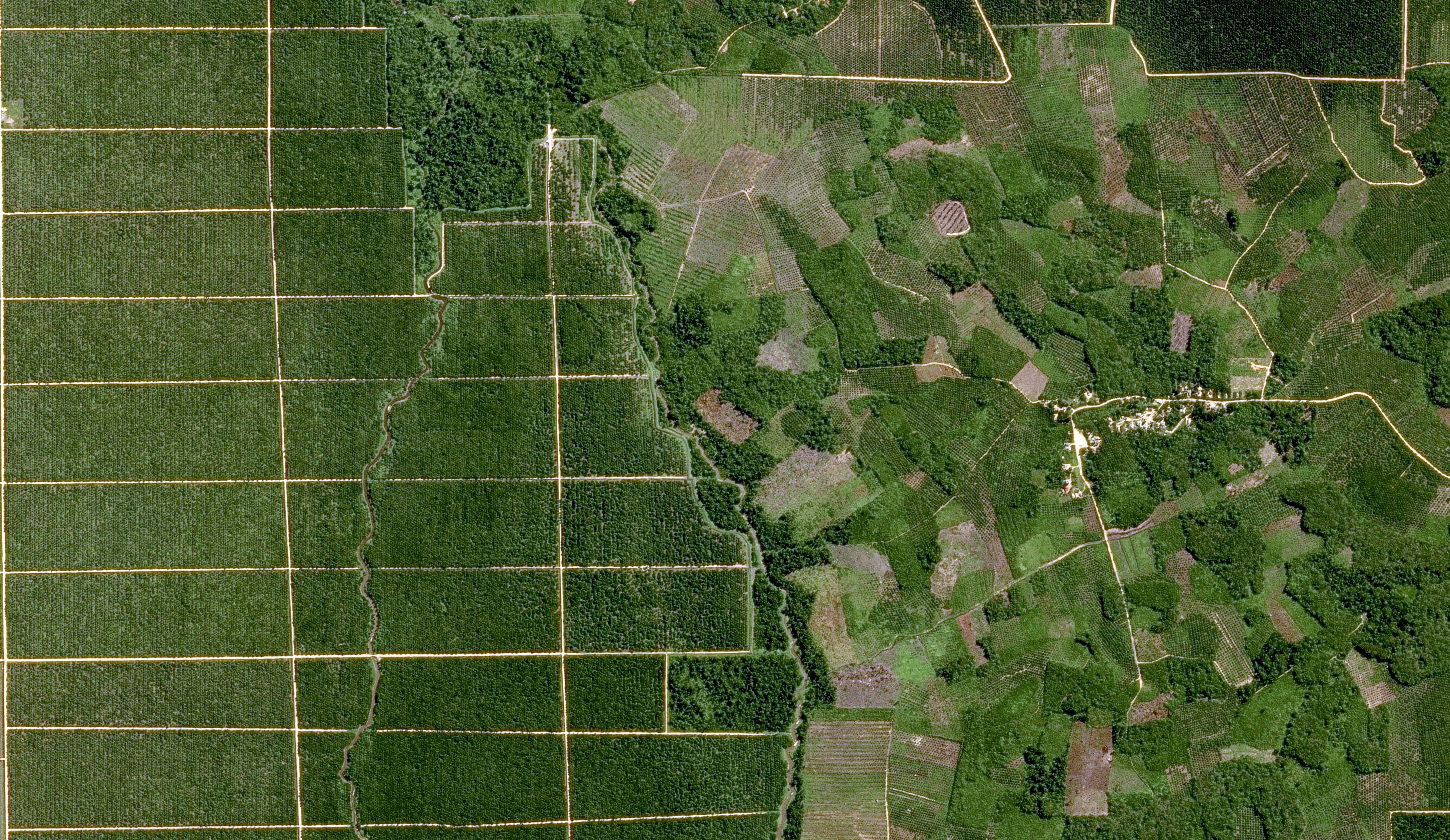 SPOT satellite imagery - 1,5m resolution - Leuser Ecosystem, Indonesia