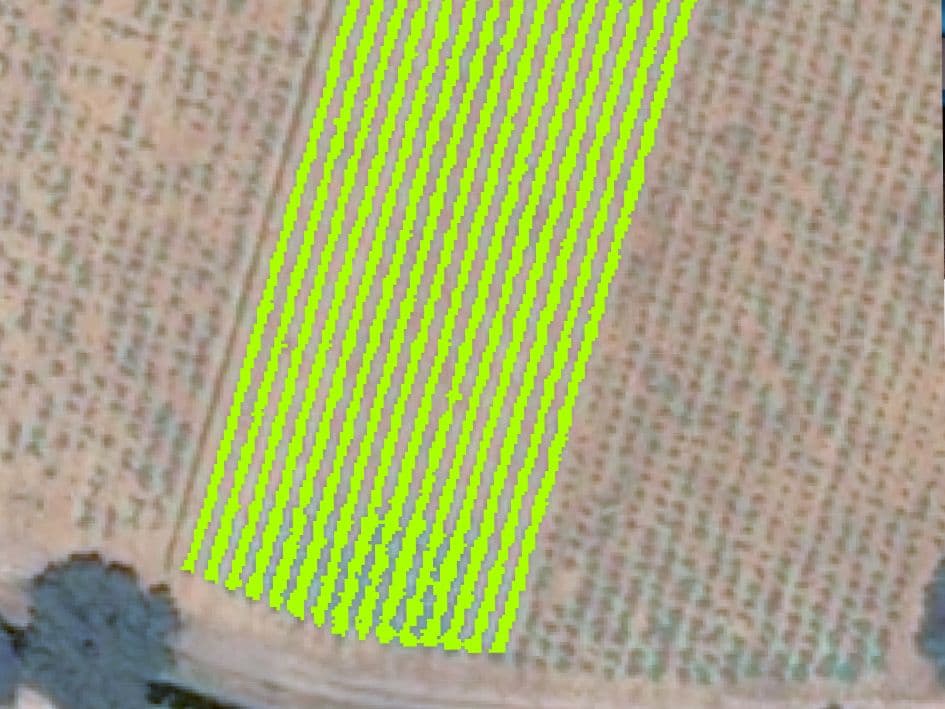 Pléiades Neo very high resolution satellite image vine rows classification