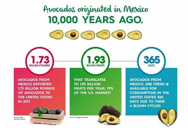 Economic facts figures around avocados from Mexico