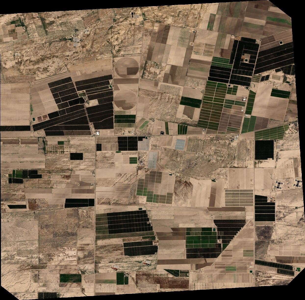 Sample Satellite Imagery Pléiades Neo Ortho - Mexico