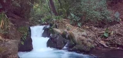 Natural River Uruapan provide water avocado nursery