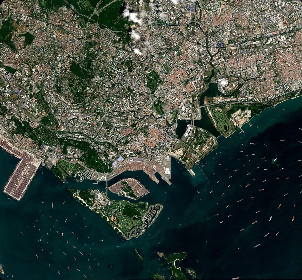 Sample Satellite Imagery Pléiades Neo Ortho - Asia
