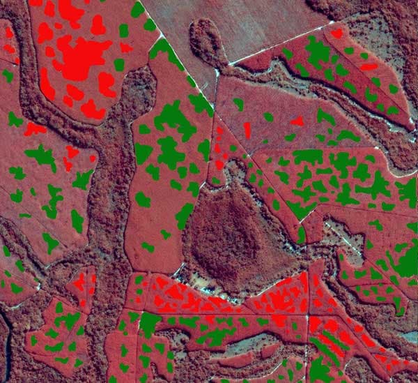  SPOT optical and TerraSAR-X radar imagery to detect changes in forest structure and biomass