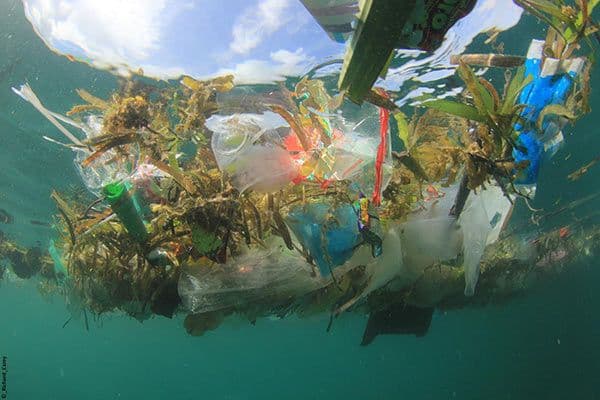 Ghost Nets Plastic waste floating ocean