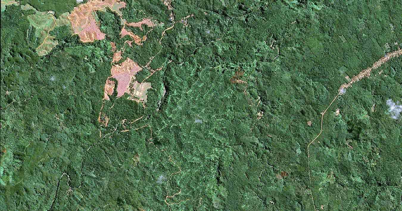 SPOT 7  satellite image - Starling Malaysia Sumatra 2018 before - 1.5m resolution