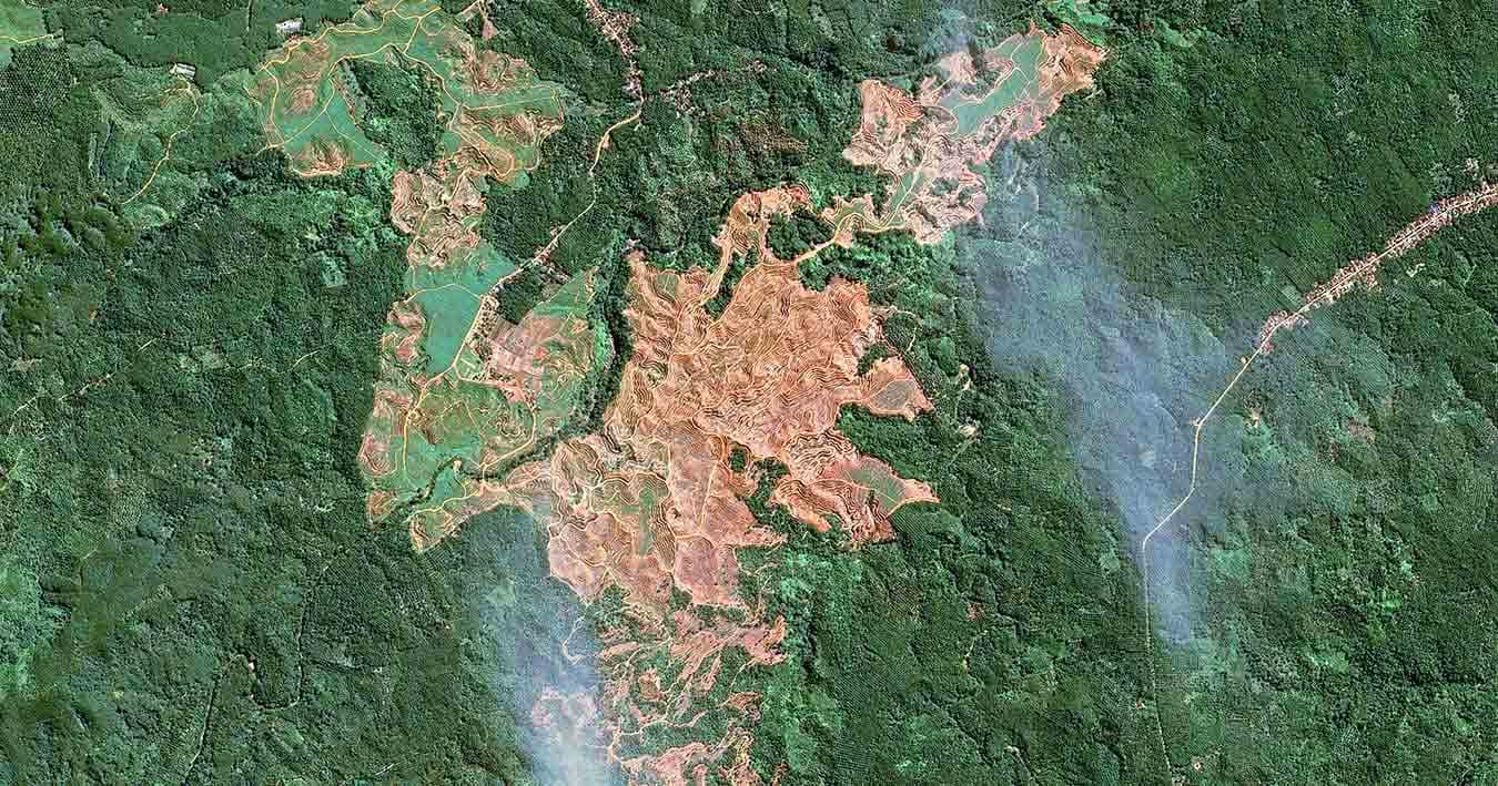 SPOT 7  satellite image - Starling Malaysia Sumatra 2019 after- 1.5m resolution
