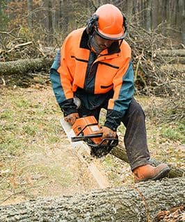 Forest worker cutting down trees close to railway lines