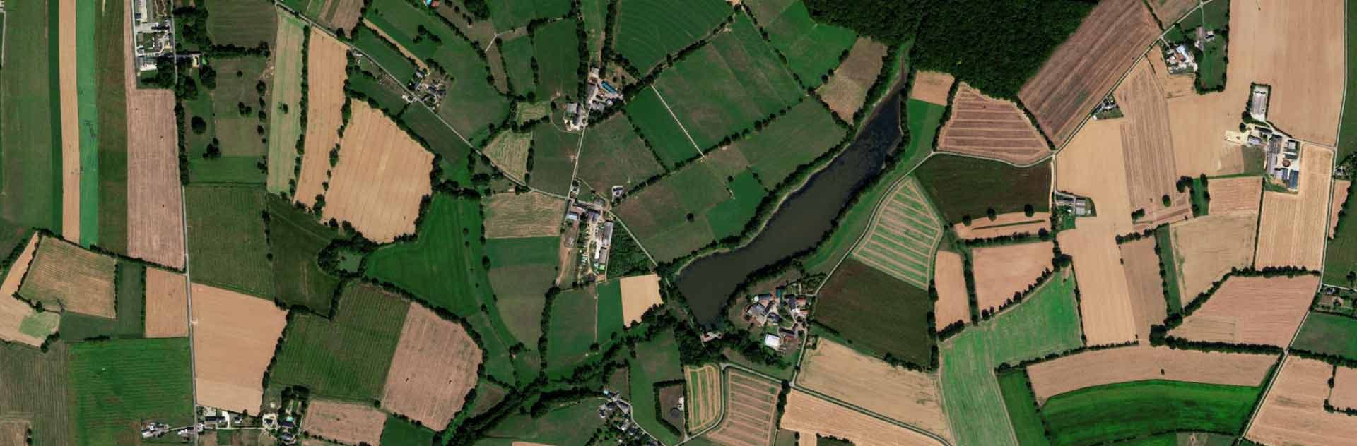 Pléiades Neo satellite image - 30cm resolution - Fields - Agriculture