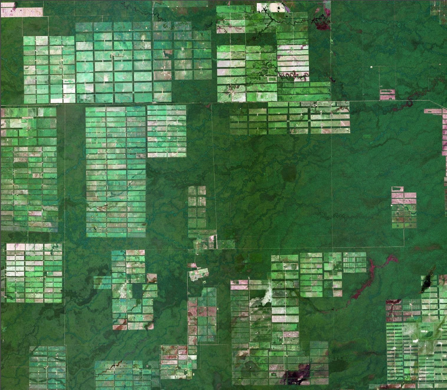 Deforestation in Bolivia, SPOT satellite imagery taken in 2013