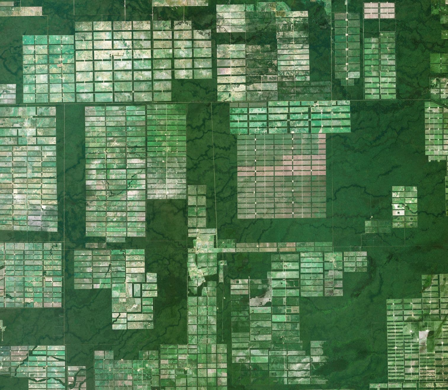 Deforestation in Bolivia, SPOT satellite imagery taken in 2022