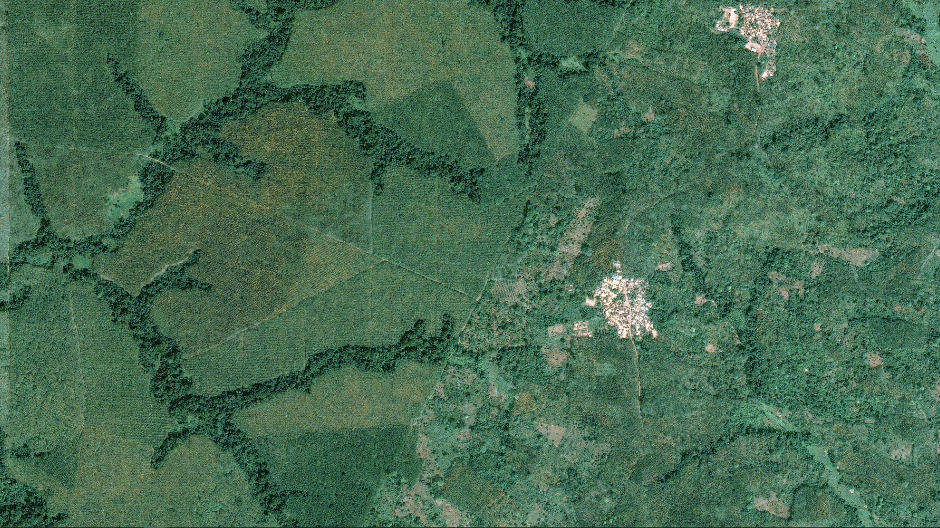 SPOT, 1,5m resolution satellite imagery- Cavally Forest, Ivory Coast